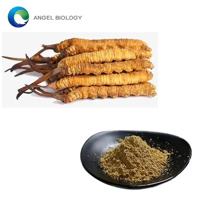Cordyceps Extract Powder